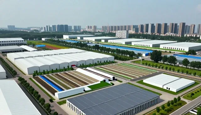 商务流程优化品牌推广方案:合肥百善信息咨询有限公司经验谈